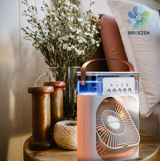 Ventilateur Portable Brumisateur d'Air 4-en-1